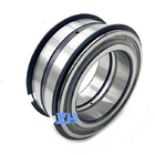 NNF5020ADA-2LSV double row cylindrical roller bearing 100*150*67mm full complement rolling element bearing, sealed