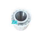 Double Row Radial Cylindrical Roller Bearing F-238900.RNN Cylindrical Roller Bearing F-238900