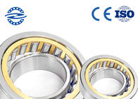 High Performance Cylindrical Roller Bearing 50mm * 70mm * 14mm NJ1005M