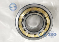 NJ248 Nup248 Brass Steel Cage Cylindrical Roller Thrust Bearings