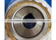 RN219M Single Row Eccentric Bearing For Speed Reducer Bearing RN219M+35