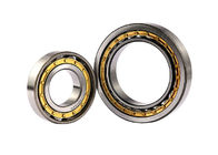 Double Row Cylindrical Roller Bearing NN3005K Seals Type Open ZZ /2RS/ RS In Big Stock 25*47