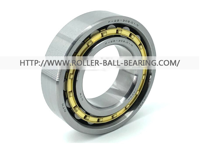 F-221302.01.N NTN Cylindrical Roller Bearings F-221302 F 221302 1 55x104x27 Mm