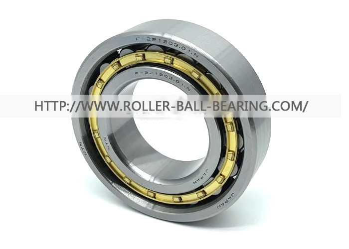 F-221302.01.N NTN Cylindrical Roller Bearings F-221302 F 221302 1 55x104x27 Mm