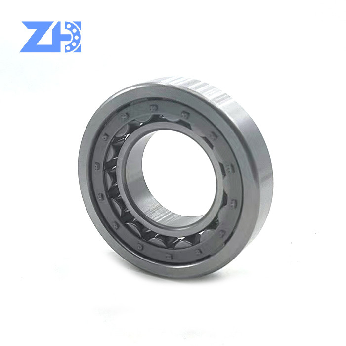 Excavator Cylindrical Roller Bearing Zz 2rs NJ209E Size 45*85*19 Mm