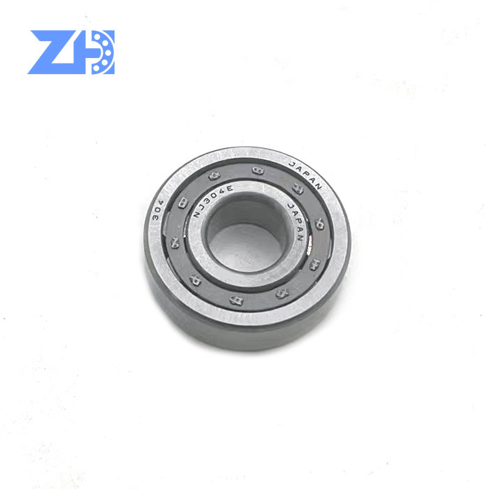 Excavator bearing steel Caged Cylindrical Roller Bearing Nj209e Bearing Nj209 with Brass or Steel Retainer