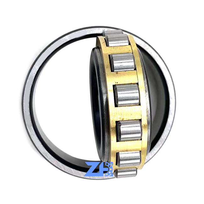 RN206ECM Cylindrical Roller Bearing 30*55.5*16mm  hard-wearing single row Cylindrical roller bearings