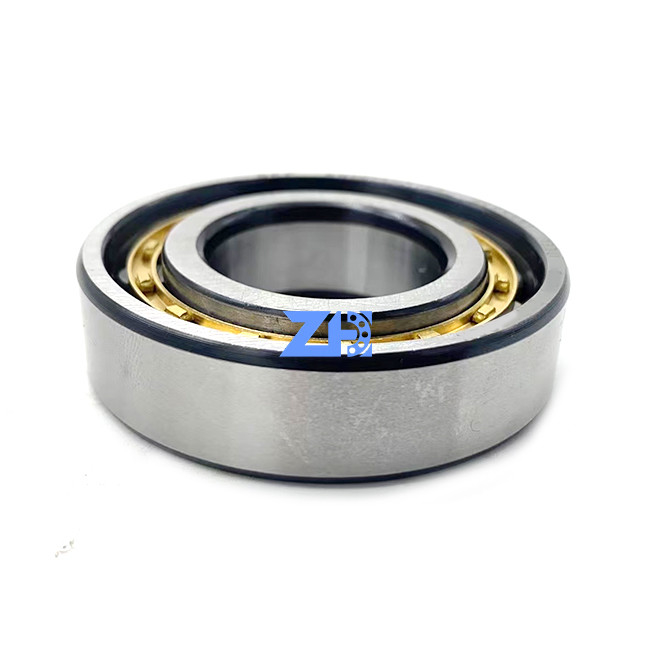 RN 206 ECM single row cylindrical roller bearing brass cage long life high precision separate design 30*62*16mm