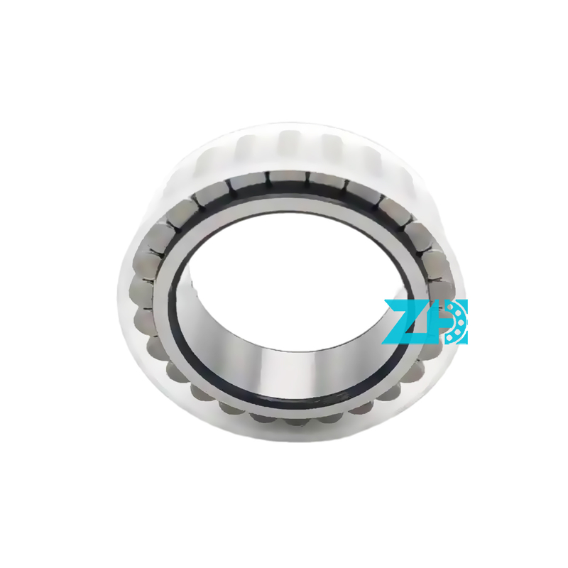 F-219593 Size 25x42x12mm Cylindrical Roller Bearing with P0/P6/P5/P4 Precision and Online Support