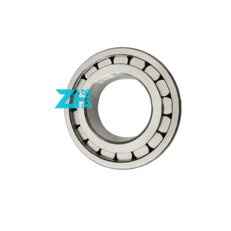 f-202578.rnu full complement cylindrical roller bearings f-202578.01.rnu F-202578.01 Rnu 35.55*57*