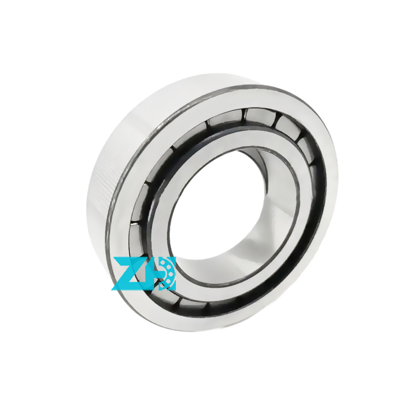 Hydraulic pump bearing F-203740.nup 25x54x21mm single row cylindrical roller bearing F-203740
