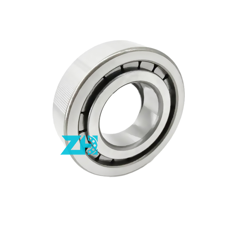 Hydraulic pump bearing F-203740.nup 25x54x21mm single row cylindrical roller bearing F-203740