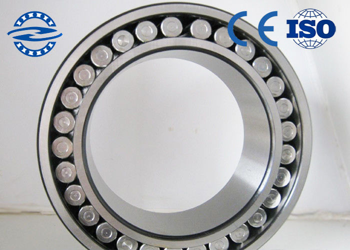 Double row  Full complement cylinder roller  bearing SL045004PP