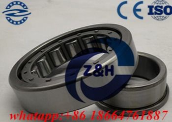 Brass Steel Cage NJ260 Nup264 Double Row Roller Bearing